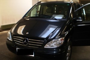 Mercedes Viano